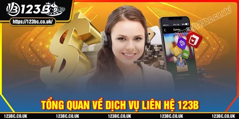 Đánh giá tổng quan về dịch vụ liên hệ 123b
