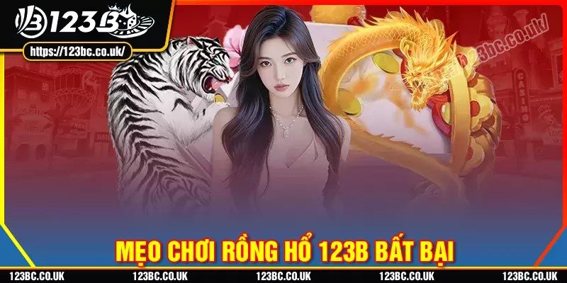 Mẹo chơi rồng hổ bất bại cho mọi game thủ