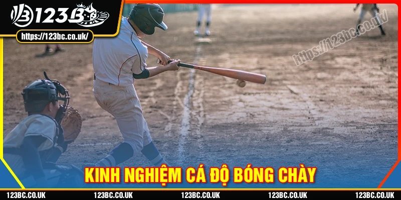 Kinh nghiệm cá độ bóng chày từ chuyên gia 123B